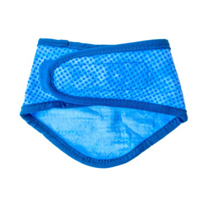 ICE BAND - Bandana rafraîchissant pour chien - Bleu - Product Image 2