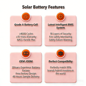 Sistema di Accumulo Energetico Domestico con Batteria agli Ioni di Litio <span class=keywords><strong>LiFePO4</strong></span> 51.2V 15Kwh 16Kwh 20Kwh 30Kwh <span class=keywords><strong>48V</strong></span> 280Ah 300Ah 600Ah 628Ah per Energia Solare - Product Image 6