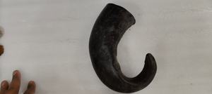 Auténtico Cuerno de Shofar de Kudu Pulido, Ecológico y Hecho a Mano con Diseño Animal de la India para Decoración del Hogar, Venta al por Mayor - Product Image 4