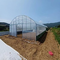 Enkelspannings landbouwkassen en landbouwtunnels van PE-plasticfolie, kweektenten, tomatenkassen te koop