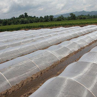 Filet anti-insectes stabilisé aux UV 100% nouvelle maille écran de Protection contre les mouches des fruits tomate protéger la maille anti-insectes