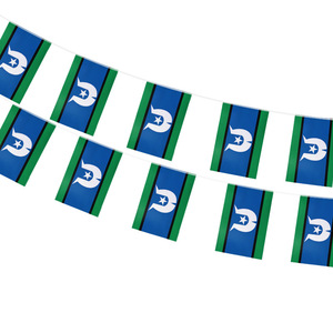 Drapeau en polyester 14x21cm des îles de Torres, guirlande de fanions nationaux, bannière de décoration pour événements sportifs et fêtes - Product Image 3