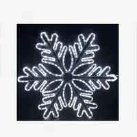 Luz LED con motivo de copo de nieve de Navidad, 110V, 120V, 2D