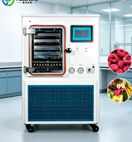 Huis-tuin-en-keuken vacuümvriesdroger kleine vriesdroogmachine voor fruitverwerking kleine vriesdroogmachine