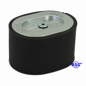 Filtro de Aire Original Briggs & Stratton 799818, Pieza de Repuesto - Product Image 6