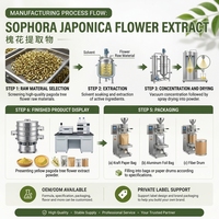 Ekstrak Bunga Sophora Japonica LongBio Bubuk Rutin Alami 95%-98% untuk Makanan, Minuman & Suplemen Diet OEM ODM