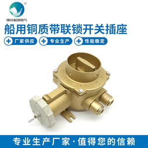 Interruptor y Enchufe de Cobre Entrelazados CZKLS2-2 D2 de Grado Marino en Existencia, Herrajes Marinos - Product Image 5