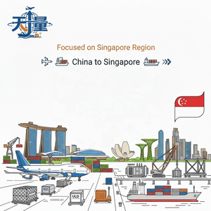 Transporte Marítimo de China a Singapur - Logística Puerta a Puerta DDP para Carga a Granel y Sobredimensionada con Tránsito de 12-18 Días - Product Image 1