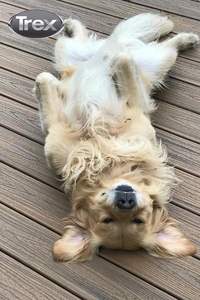 Tarima de WPC para Exteriores Resistente al Agua, con Vigas de Acero, Revestimiento de Madera y Plástico Compuesto, Tablero de Madera y Plástico Compuesto - Product Image 2