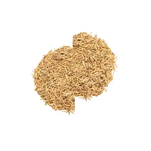 Domuz, tavuk ve köpek hayvan yemi OEM için en popüler ürünler pirinç kabuğu