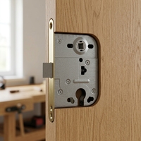 Corps de serrure à mortaise de porte d'entrée en acier inoxydable de style russe avec ingénierie de précision