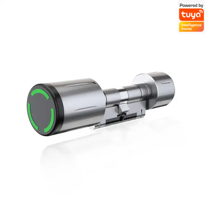 Tuya Bluetooth
