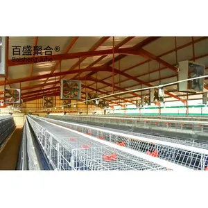 Venda quente galvanizado automático um tipo frango gaiolas camada aves domésticas para equipamentos agrícolas