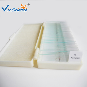 50 Mixed Specimen Sets for <b>Microscope</b> Observation - Prepared Slides for Primary and Secondary School Students - Product Image 2