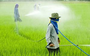 خرطوم رش عالي الجودة 200 بار 8.5 مم من البولي فينيل كلوريد معزز بألياف البوليستر المجدولة مع وصلات للرش الزراعي - Product Image 6