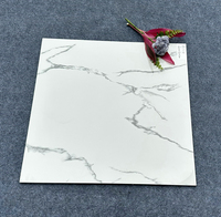 Carrelage mural et de sol en porcelaine polie effet marbre blanc de Carrare 60x60cm (24x24) pour salon, application naturelle, vente en gros