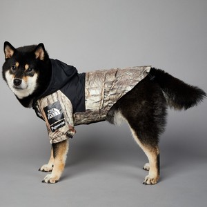 Qingjing, ventas al por mayor, marca Fasion, lujo, fresco, impermeable, la cara del perro, chaqueta cortavientos para mascotas, ropa, impermeable - Product Image 4