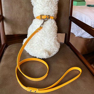 Ensemble d'accessoires <span class=keywords><strong>pour</strong></span> animaux de compagnie en cuir de créateur de luxe <span class=keywords><strong>Collier</strong></span> de chat et de <span class=keywords><strong>chiot</strong></span> à la mode avec motif imprimé et laisse de chien de décoration de rivet - Product Image 3