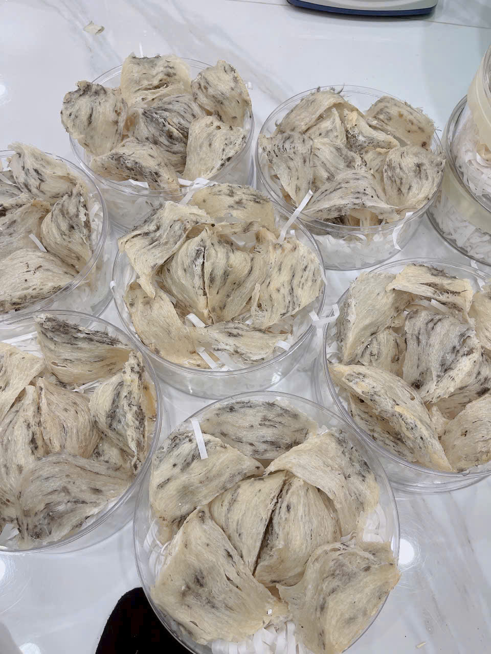 bird nest unprocessed