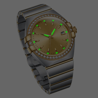 Montre mécanique automatique pour homme, haute qualité, vente en gros, logo personnalisé, directement de l'usine, montre-bracelet professionnelle