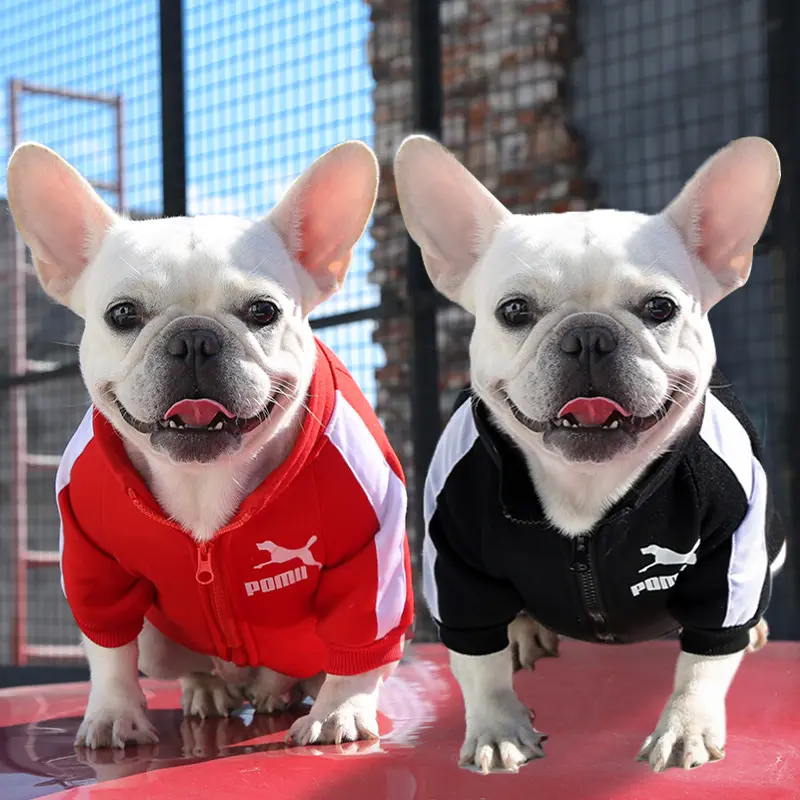 Moda rahat tasarımcı sıcak Jersey spor Pet giyim malzemeleri ceketler ceket lüks pamuk köpek giysileri fermuarlı