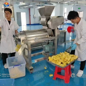 เครื่องสกัดน้ำผลไม้ 0.5-5 ตัน/ชม. เครื่องทำน้ำมะม่วง มะนาว แอปเปิ้ล สับปะรด - Product Image 4