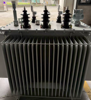 Transformateurs immergés dans l'huile Copper S22-M-800/10