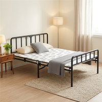 Base de Cama Moderna de Hierro Forjado, Superficie Lisa, Antioxidante, Plataforma Metálica, Resistente, Silenciosa, Muebles para Dormitorio de Casa u Hotel