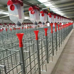 2022 Thiết Kế Mới Tự Động Pig <span class=keywords><strong>Feed</strong></span> Dispenser <span class=keywords><strong>Creep</strong></span> Feeder Hopper Cho Động Vật Ăn - Product Image 1