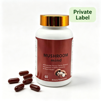 Nouvelles Capsules de Champignons Crinière de Lion Nootropiques pour la Concentration et la Clarté avec Biopérine – 60 Gélules – Supplément OEM Marque Privée