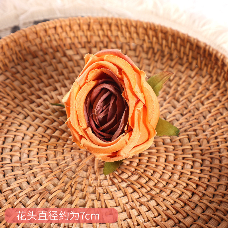 Rose-Orange Impériale