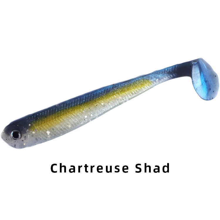 Chartreuse Shad