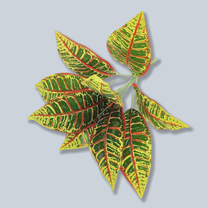 Feuilles de Monstera rayées artificielles Mengjie, plantes vertes de 30 cm à 100 cm, PVC souple, décoration intérieure, accessoires de mariage - Product Image 2