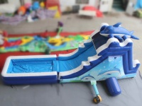 Toboggan aquatique Dolphin Pool Bounce House Commercial Grade Gonflable Jump Bouncer Slide Piscine d'eau gonflable Castle Slides