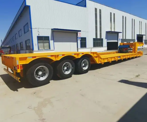Полуприцеп-тяжеловоз с низкой платформой и гусиной шеей, 20/40 футов, грузоподъемность 100 тонн, 2/3/4-осная стальная конструкция, для механических перевозок - Product Image 1