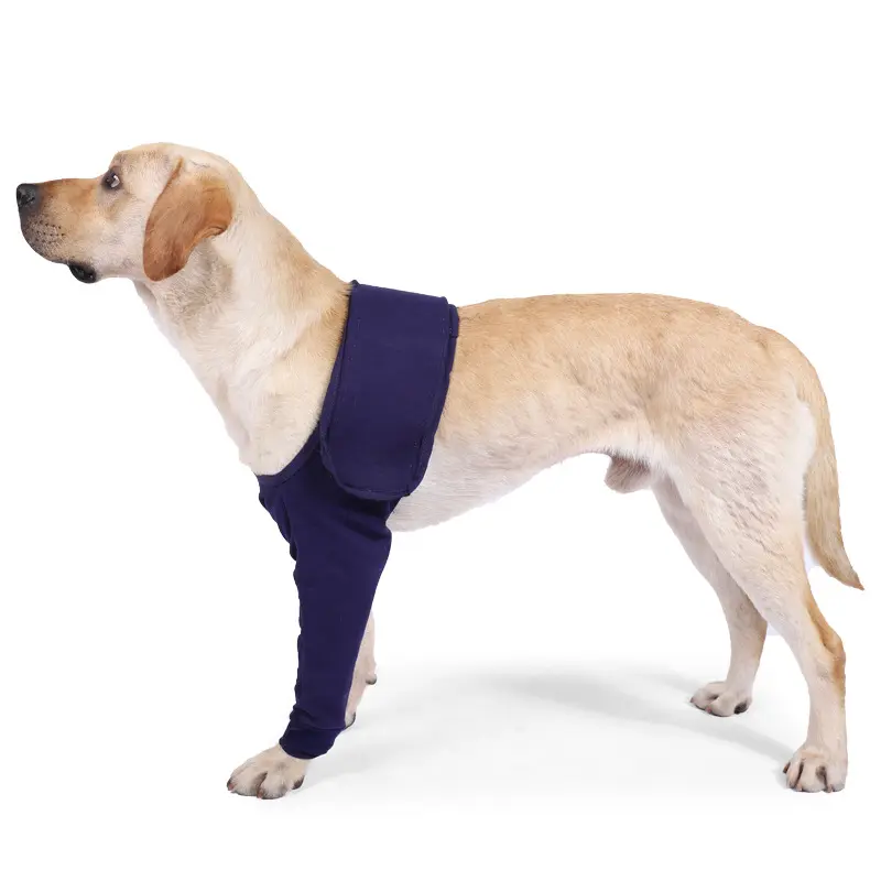Benutzer definiertes Logo Hundes chutz Knies tütze für Bein Sprunggelenk Wickel Hund Knies tütze Scharniers tabilisator Ortho pä dische Hunde beins tütze