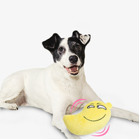 Ecologische klassieke cartoon hondenspeeltjes, mini diverse fruit pluche piepspeeltjes voor honden, katten & reptielen
