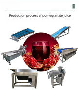 Commerciële apparatuur voor het pellen en scheiden van granaatappels, complete set voor diepgaande verwerking van granaatappelsap en fruitwijn