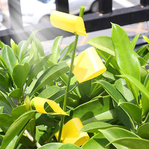 飞行昆虫粘性桩捕虫器桩捕捉贴纸植物真菌Gnat害虫陷阱 - Product Image 2