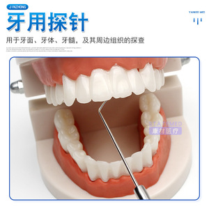Sondes dentaires en acier inoxydable à double tête, instrument de soins bucco-dentaires pour usage domestique, couleur argent, certifié CE - Product Image 4