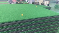 Tapis de golf 3D avec insert remplaçable, couche à ressorts 3D, gazon en nylon, base en EVA, protection des poignets, simulateur de practice