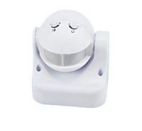 Lampu Sensor Gerak LED Outdoor Standalone Murah dengan Deteksi 12m dan Penundaan yang Dapat Disesuaikan untuk Taman Halaman