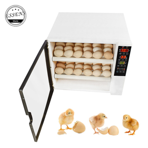 <span class=keywords><strong>Mini</strong></span> Incubadora de Huevos para 60 Aves de Corral, Precio de Venta en Zimbabue - Product Image 5