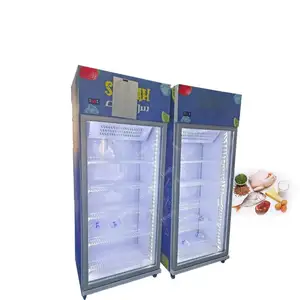 Ice Cream Scoop Cabinet Freezer Meat Refrigerator Cold Storage Room Display