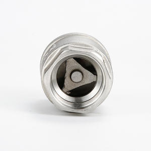 DN20 3/4 ''2 Pc NPT Gewinde 316 Edelstahl MM Typ Feder Vertikales Rückschlag ventil - Product Image 4