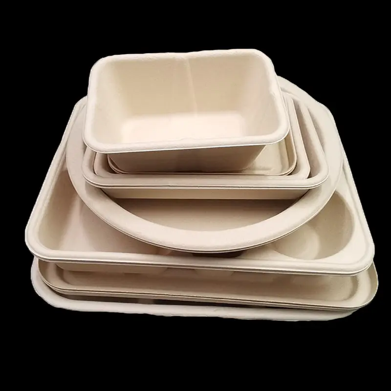 Kingwin 600ML Biologisch abbaubarer Einweg-Lebensmittel behälter Zuckerrohr-Bagasse-Verpackungs box Umwelt freundliches Geschirr zum Mitnehmen