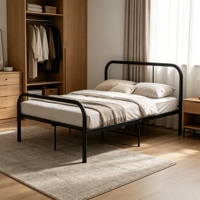 Ensemble de cadre de lit en acier de luxe moderne, tailles simple, double, king et queen, durable et démontable, pour appartement, hôpital, hôtel et école