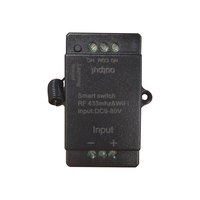 Interruptor Inteligente 9-80V Mini Wi-Fi, Controlador Automático de Luz, Receptor RF 433MHz, Abrepuertas de Garaje, Smart Life, Aplicación Tuya, Relé de 1 Canal