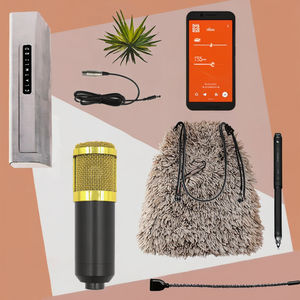 BM800プロ用ミニコンデンサーマイクカーディオイドプラスチック有線デスクトップPC電話ポータブルスタジオレコーディングスマートボックスメタル - Product Image 3