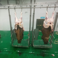 Équipement de ligne d'abattage automatique de bovins pour abattoir